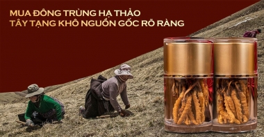 Đông Trùng Hạ Thảo Sấy Khô Himalaya – Sản Phẩm Cao Cấp Cho Sức Khỏe