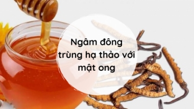 Làm Thế Nào Để Ngâm Đông Trùng Hạ Thảo Với Mật Ong Đúng Cách?