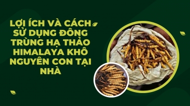 Lợi Ích Và Cách Sử Dụng Đông Trùng Hạ Thảo Himalaya Khô Nguyên Con