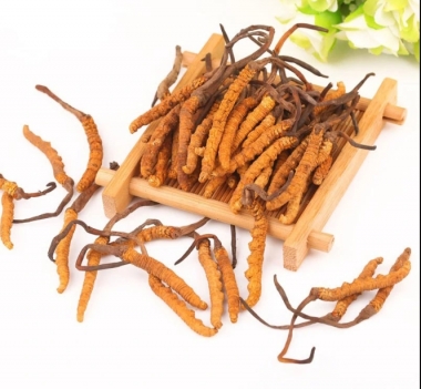 Sự Thật Về Tác Dụng Của Đông Trùng Hạ Thảo Tây Tạng – Có Như...