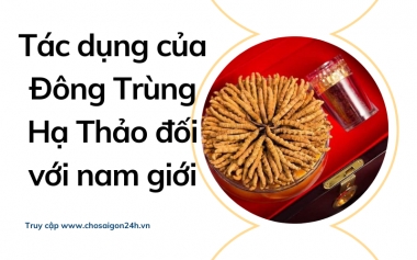 Tác dụng của Đông Trùng Hạ Thảo đối với nam giới