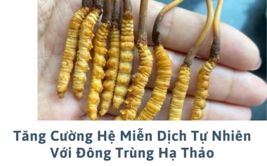 Tăng Cường Hệ Miễn Dịch Tự Nhiên Với Đông Trùng Hạ Thảo